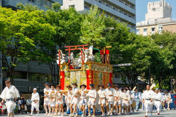 鯉山・後祭20250007
